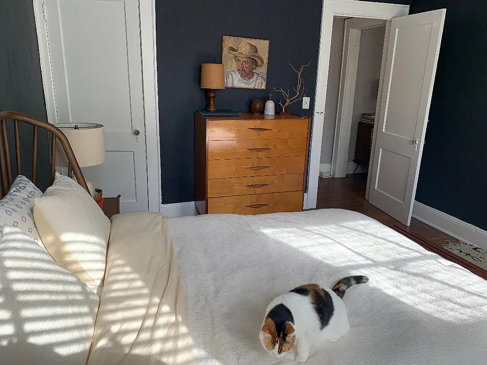 Hardwood floor bedroom!