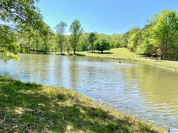109 County Road 801, Delta, AL 36258