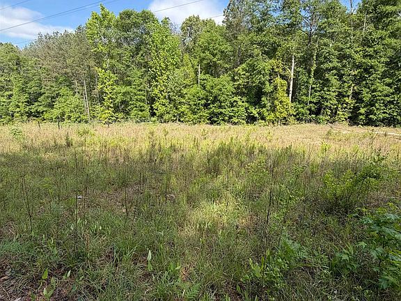 3rd image of 1755 County Road 19 N #5