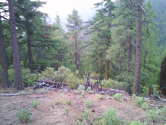 2nd image of Xox Ditch Creek Rd