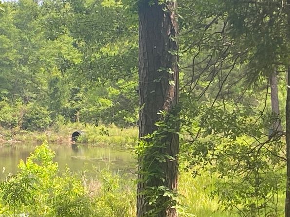 0 Bear Fork Rd #6, Mobile, AL 36618