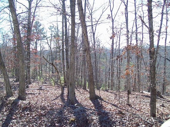 4th image of 392 County Road 146