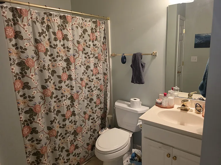 5 Spreading Oak Ct — Photo 12