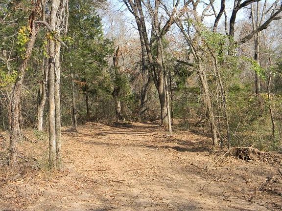 3rd image of 14288 Persimmon Creek Dr