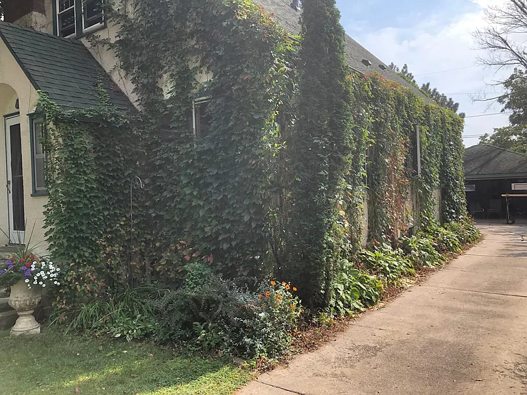 Recent photo of the driveway