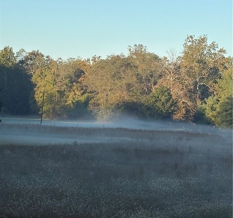 2nd image of  Jones Lane