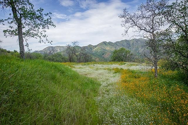 1st image of 42360 Corral Dr
