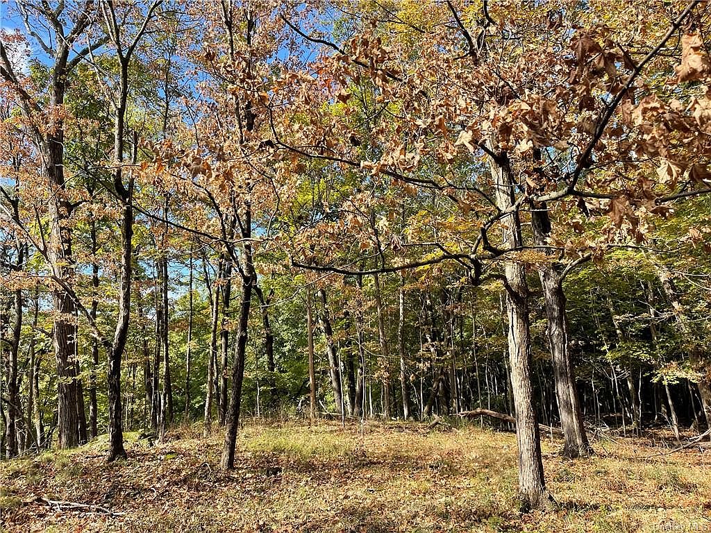 Croton Avenue, Cortlandt Manor, NY 10567 MLS H6253798 Zillow