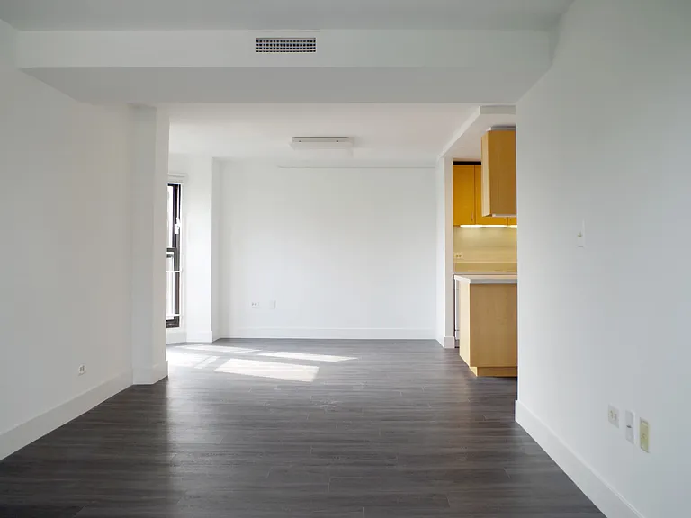 Dining/Living room