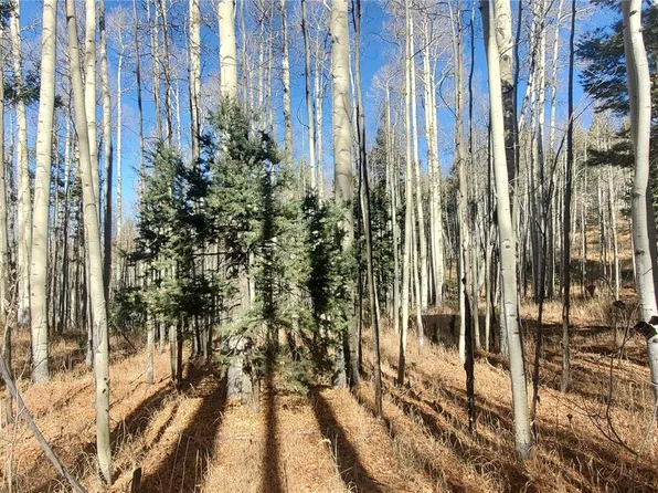 Lot 6060 Forbes Road LOT 6060, San Luis, CO 81152