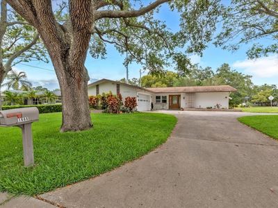 1666 Souvenir Dr, Clearwater, FL, 33755