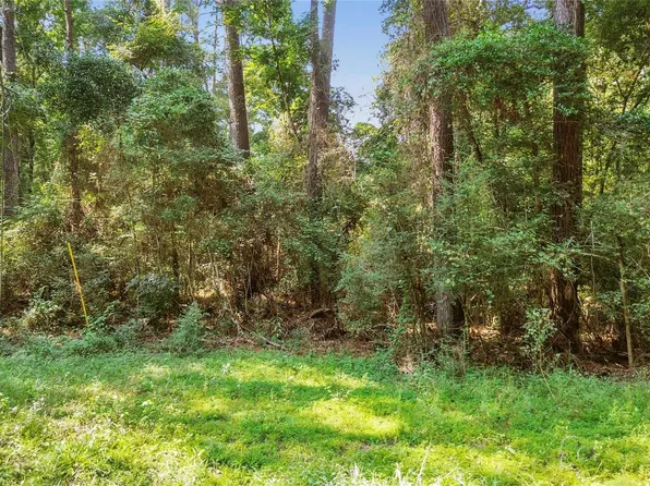 12865 Royal Forest Dr, Conroe, TX 77303