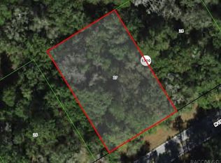 10180 N Country Club Way, Citrus Springs, FL 34434