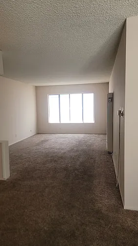 11959 Nebraska Ave #211 Photo 1