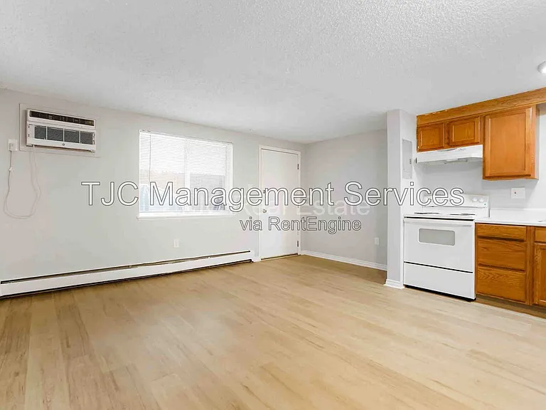1341 N Ogden St #305 — Photo 4