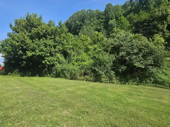30242 N Fork River Rd, Saltville, VA 24370
