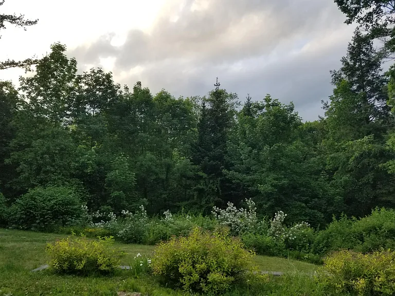 13 Mountain Rd #A — Photo 19