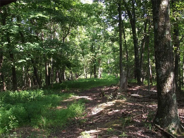 3222 Morgans Run Rd, West Union, WV 26456