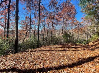 134 Green Hollow Ln, Brevard, NC 28712