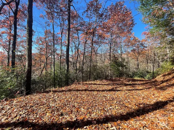 134 Green Hollow Ln, Brevard, NC 28712