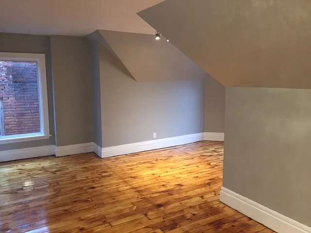 Spacious Trendy 1 Bedroom in Durand — Photo 4