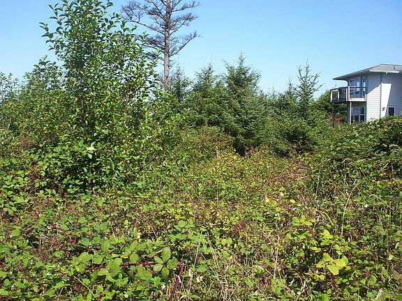 5th image of NE 71st Lot 18