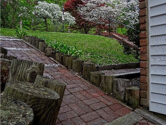 Front yard view from deck.