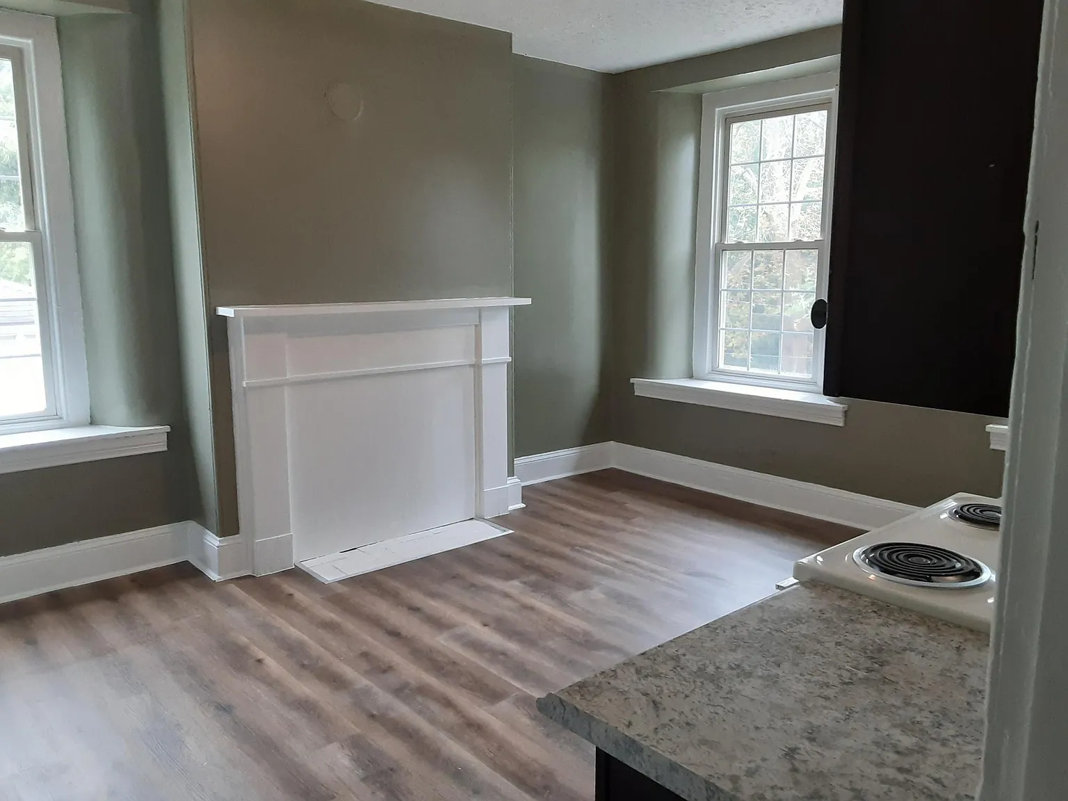 2 bed, 1250 sqft, $1,500 — Photo 4