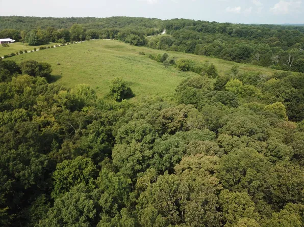 Trigg Tower Rd, Simpson, IL 62985