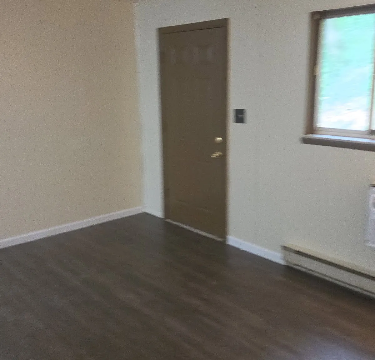 1 bed, 800 sqft, $950 — Photo 3