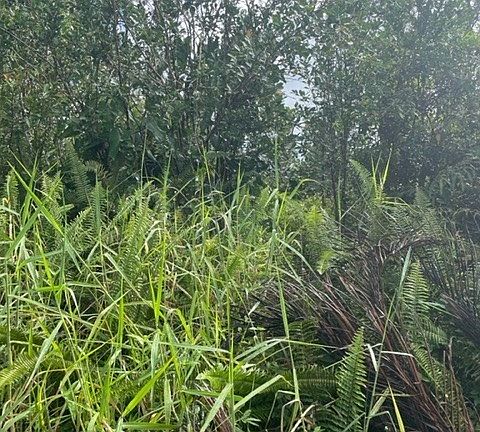 5th image of Tiki Ln Lot 35