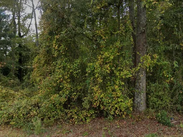 1179 Buck Swamp Road, Pikeville, NC 27863