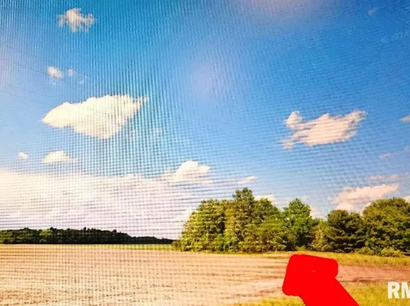 10034 Emmerson Airline Rd, Palmyra, IL 62674