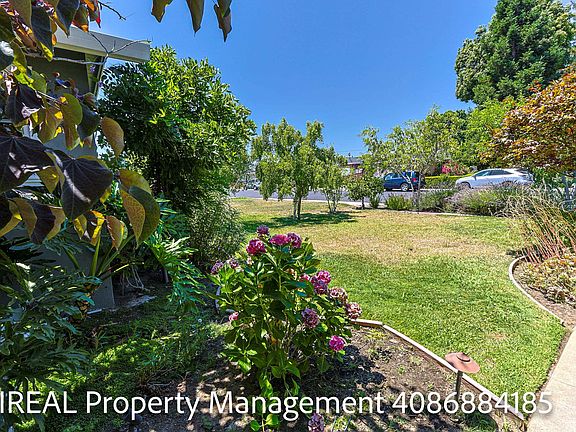3rd image of 1630 Palo Santo Dr