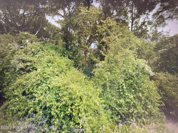 8585 E Beacon Ct, Floral City, FL 34436