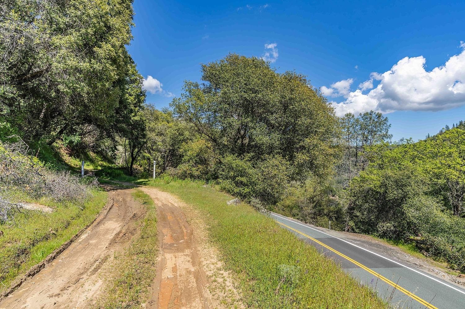 0 Red Corral Rd, Pioneer, CA 95666 MLS 224040523 Zillow