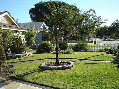 Front Yard