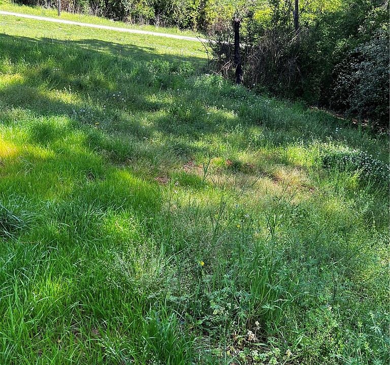 2nd image of 7281 20th Ave