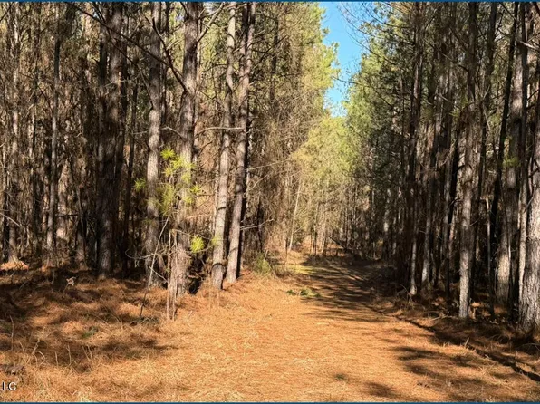 County Road 2257, Ethel, MS 39067