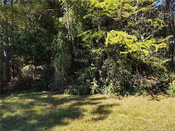 5th image of 841 Durwood Dr