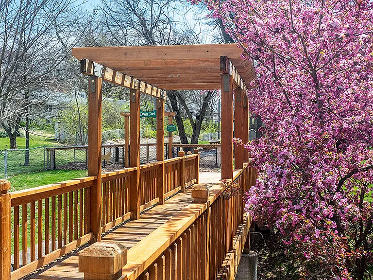 Beautiful Landscaping