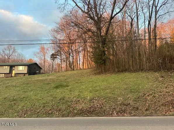 LOT 15 Telford Rd, Telford, TN 37690
