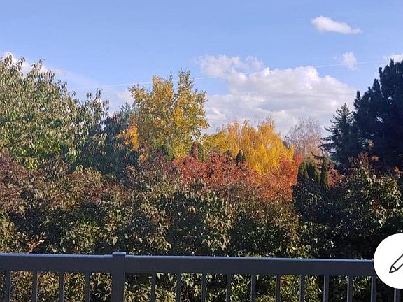 View from back deck