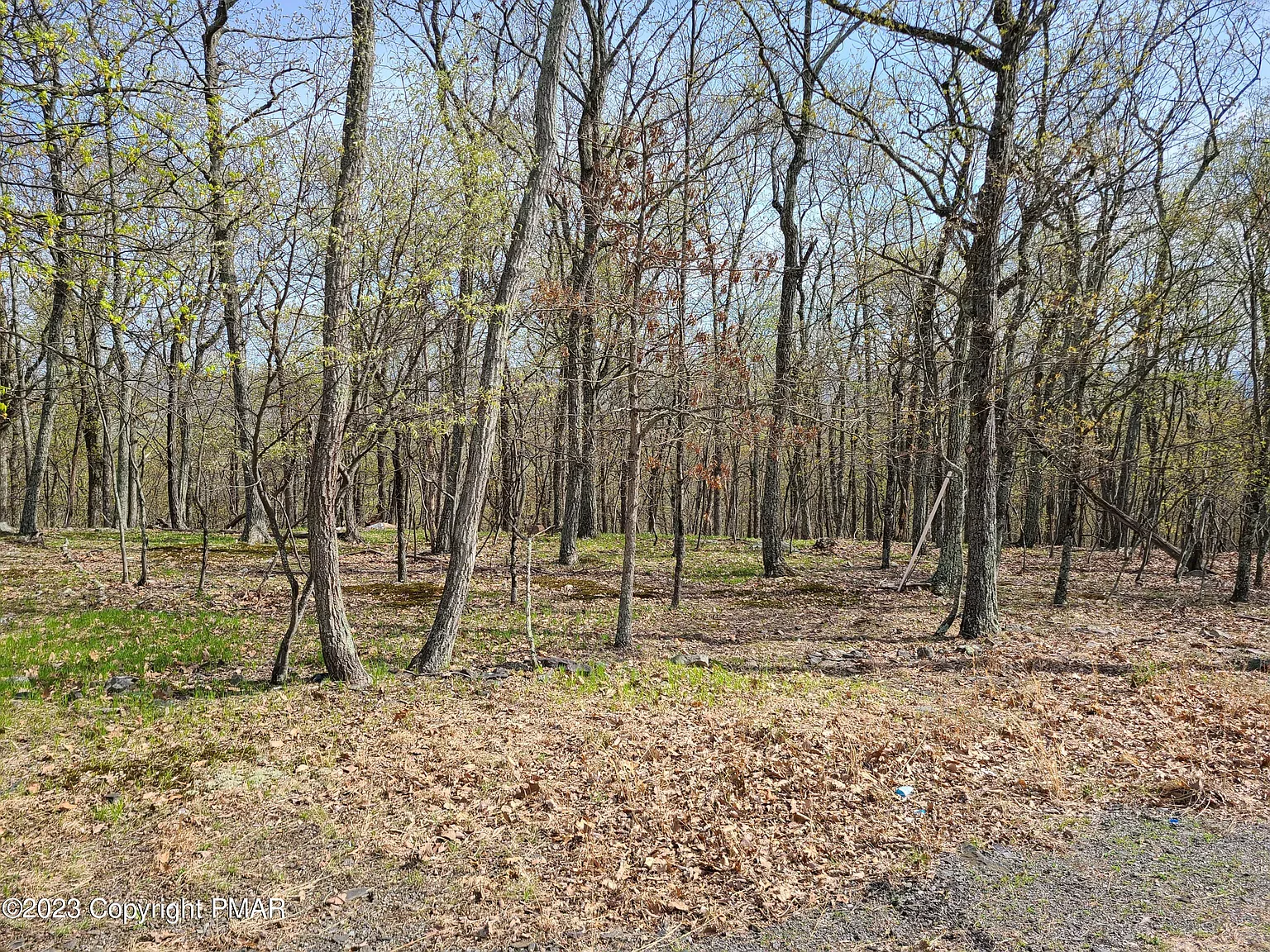 210 Summerton Cir photo 1