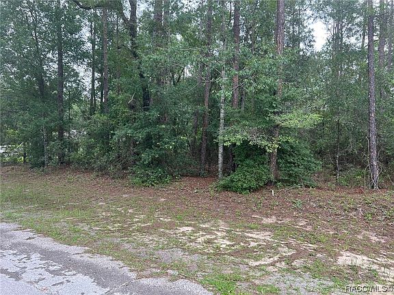 2nd image of 10291 N Empress Cir