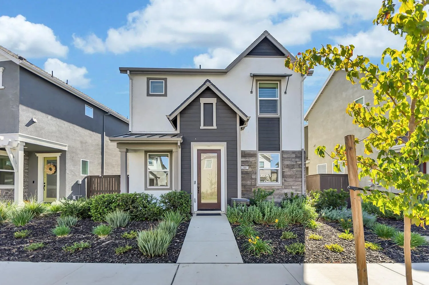 2897 Wheat Grass St photo 1