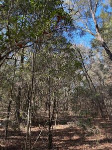 LOT 26 SW Grandview Ave LOT 26, Dunnellon, FL, 34431