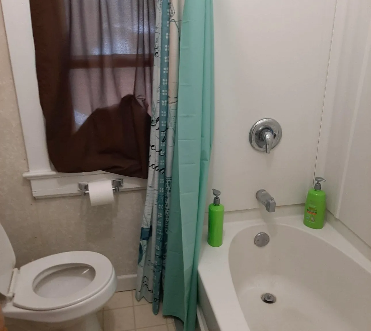 2 bed, $800 — Photo 3