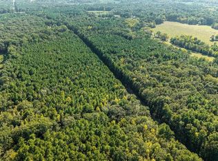 0 Johnson Quarters Rd, Pelahatchie, MS 39145