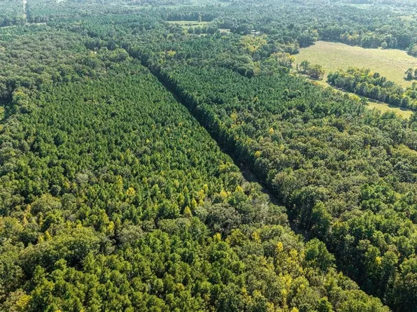 0 Johnson Quarters Rd, Pelahatchie, MS 39145